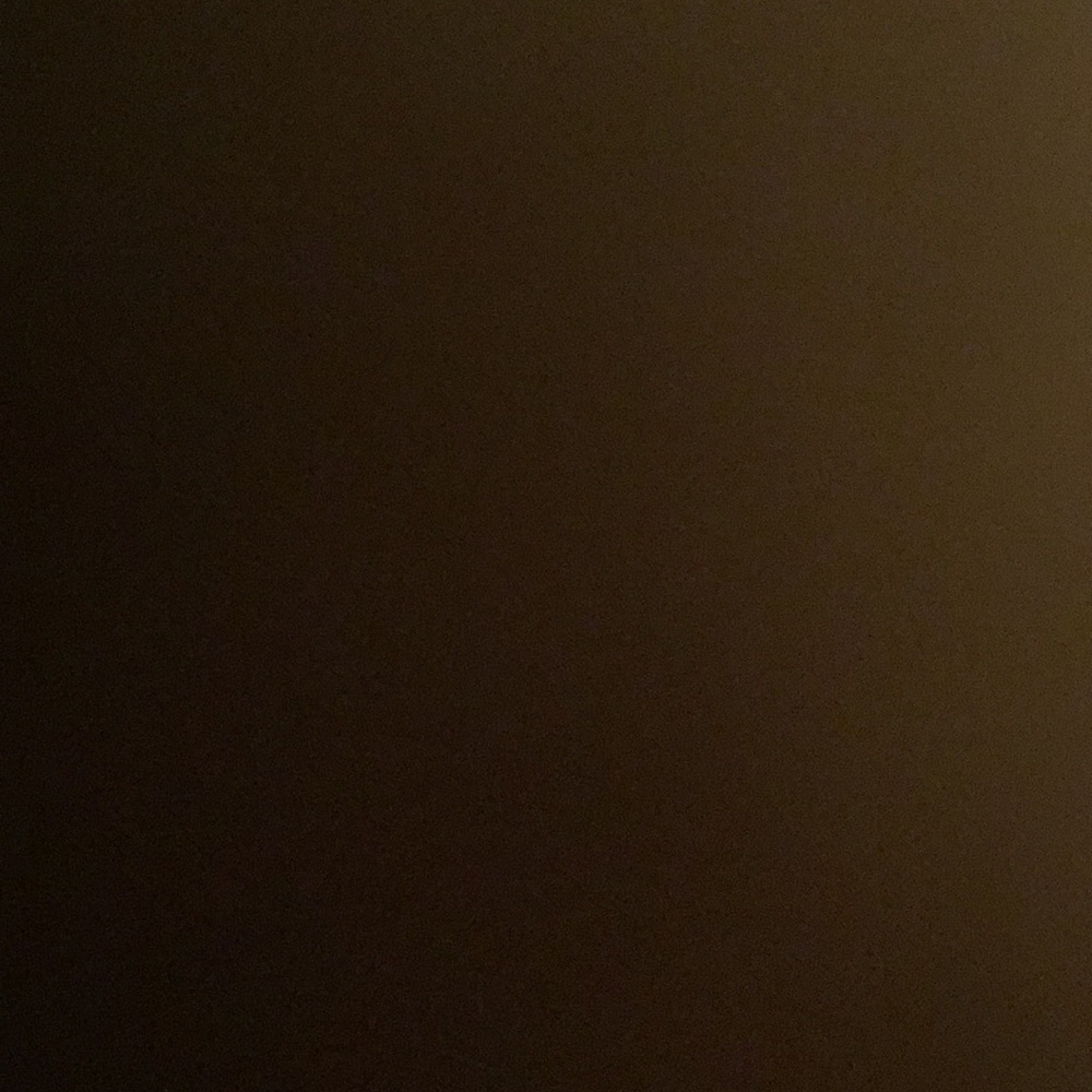 Meet your Posher, Shanese